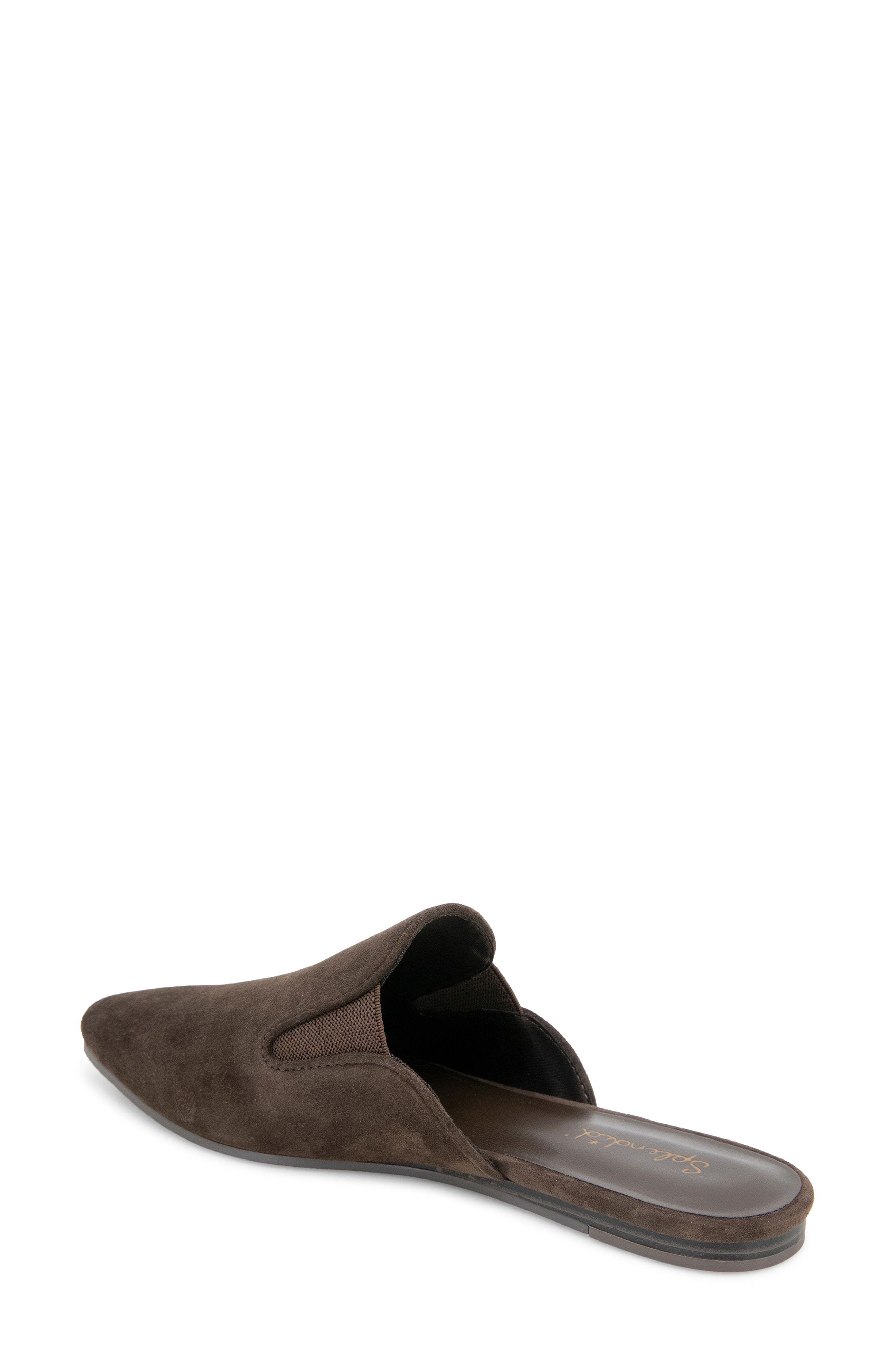 Liza Pointed Toe Mule, Alternate, color, SPICE