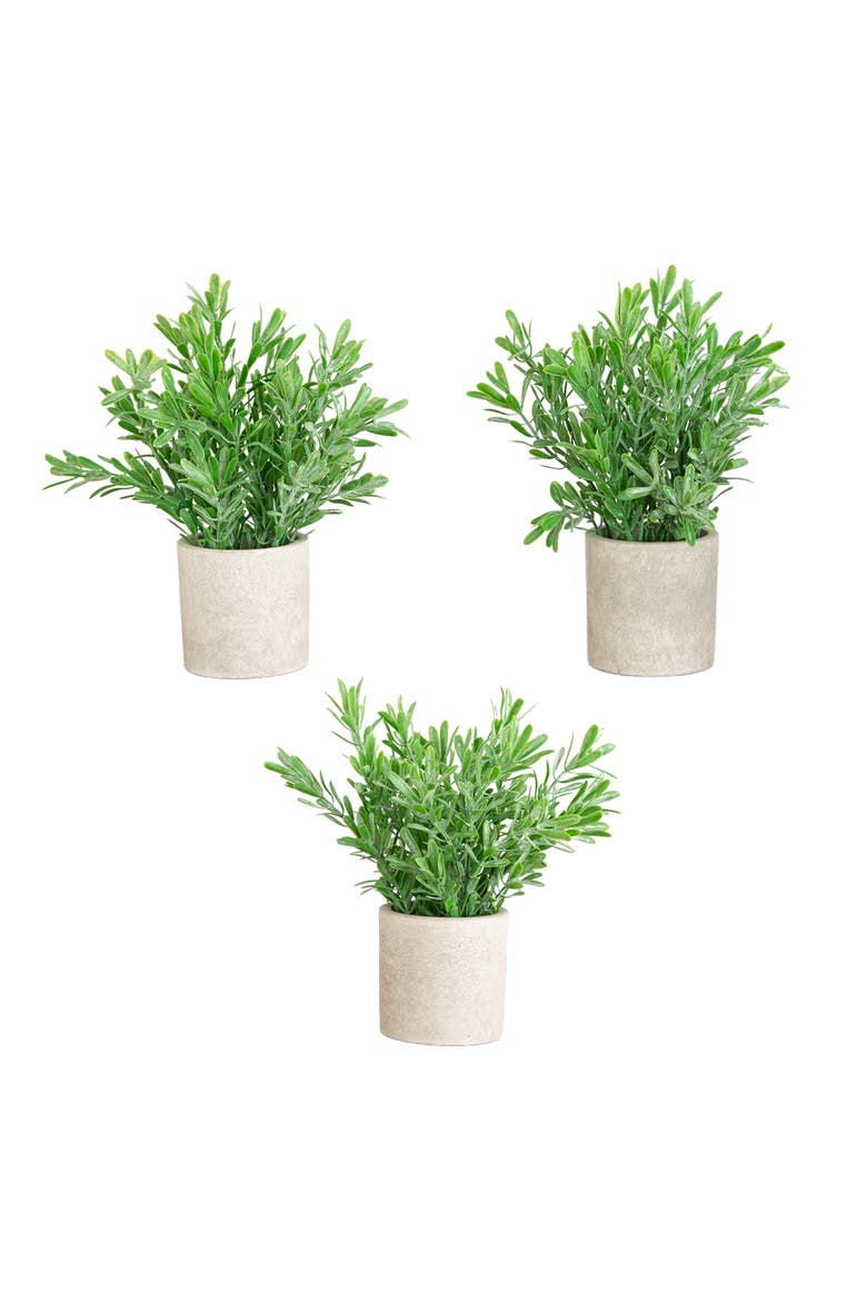 8-in Artificial Grass Plant in Decorative Planter - Set of 3, Main, color, Green