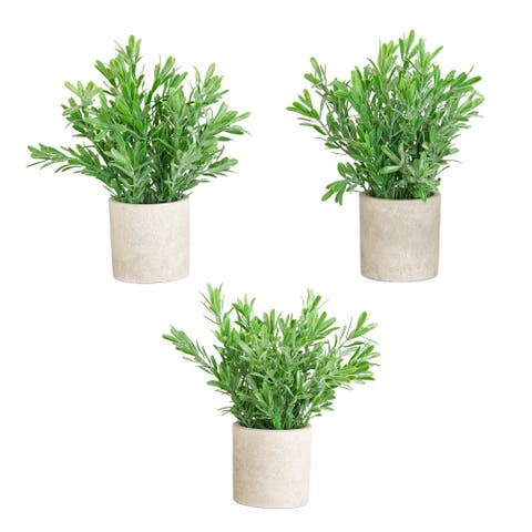 8-in Artificial Grass Plant in Decorative Planter - Set of 3