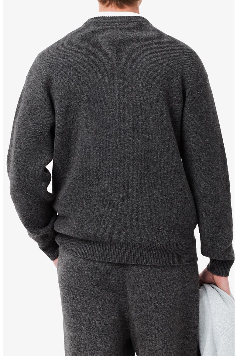 Relaxed Fit Double Face Cotton & Wool Blend Sweater, Alternate, color, IBV AGATHE CHINE/VIE