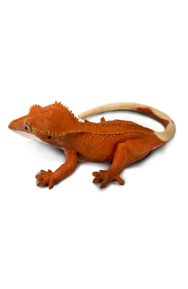 Safari Ltd. Crested Gecko Toy, Alternate, color, NO COLOR