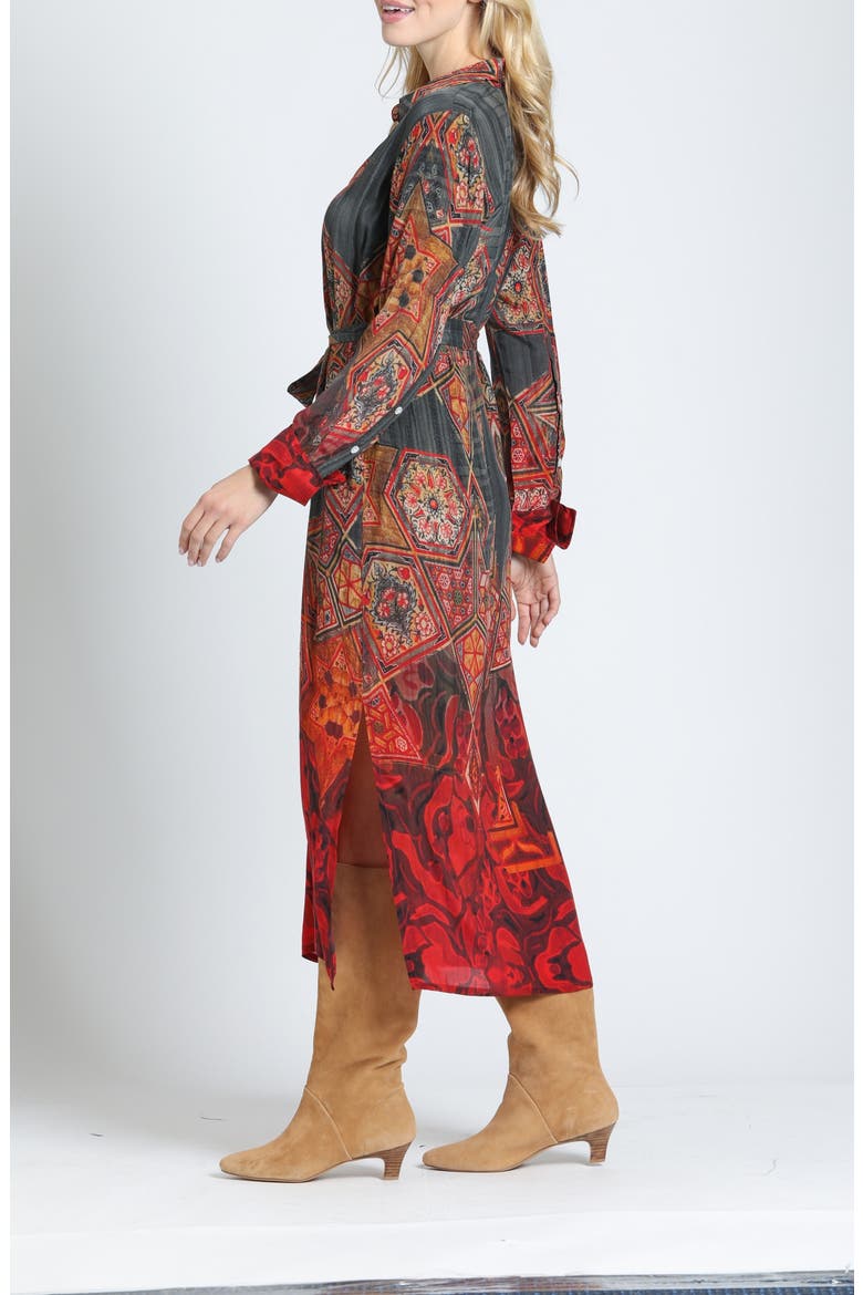 Half Placket Maxi Dress, Alternate, color, CARBON/CRIMSON SPICE