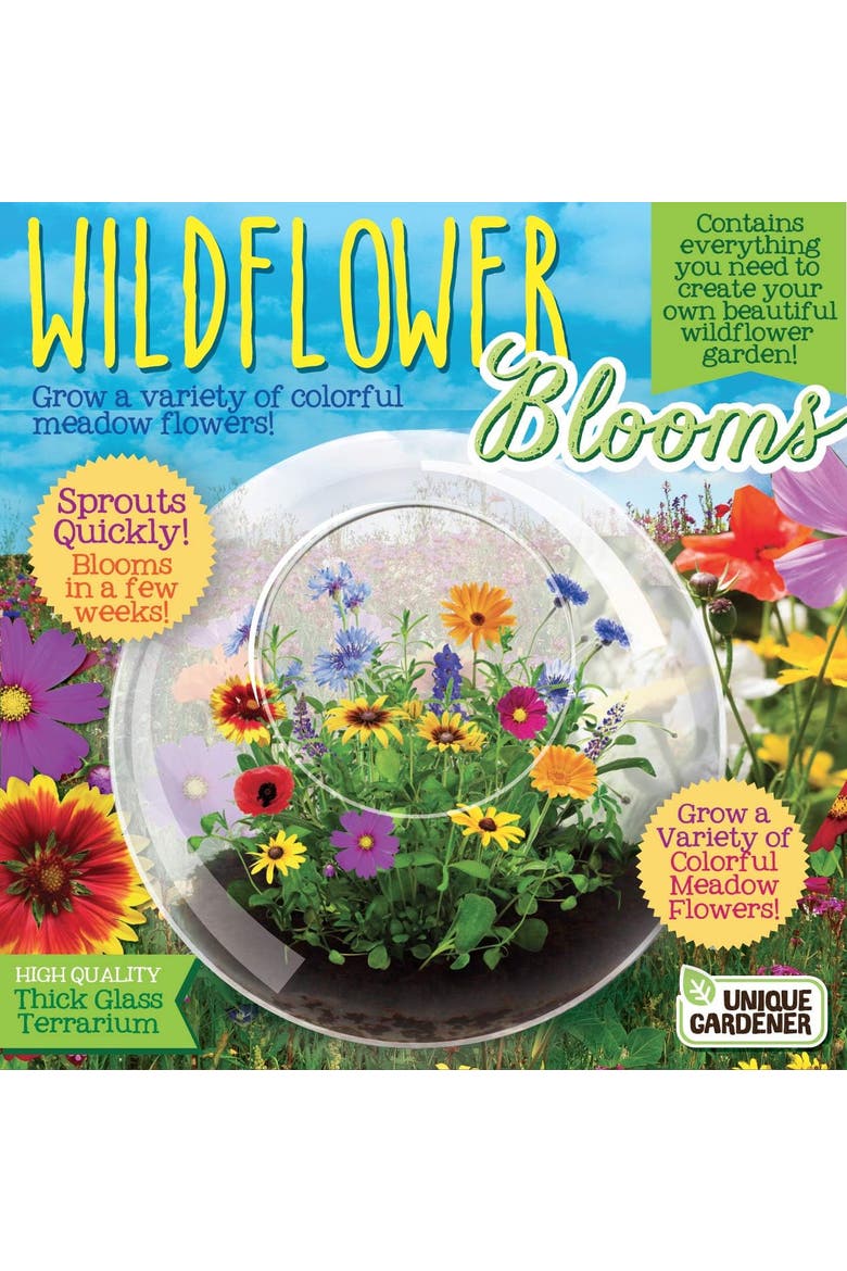 Wild Flower Glass Terrariums, Terrarium Starter Kit with Complete Supplies, Quick Blooms, Easy Care, Alternate, color, None