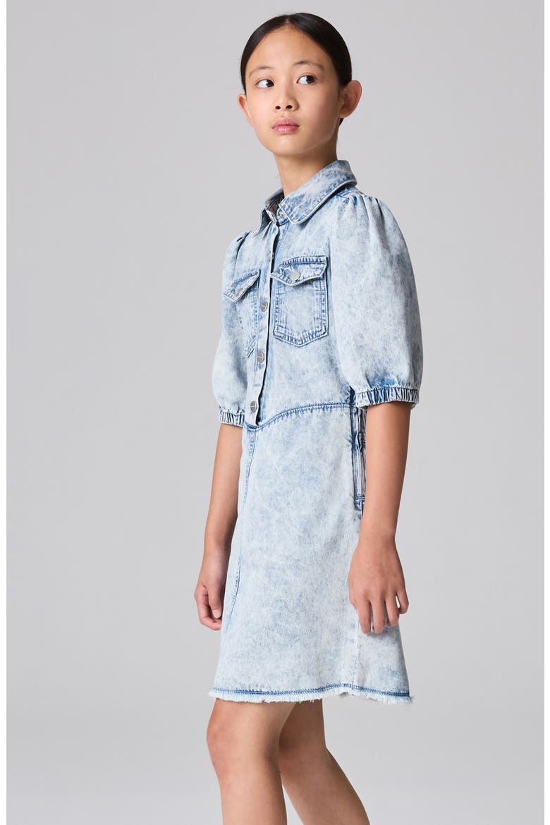 Kids' Denim Dress, Alternate, color, BLUE