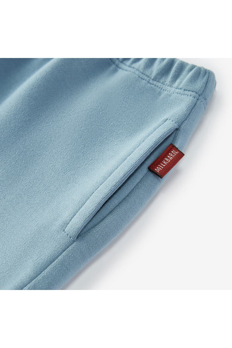 Brushed Jogger, Alternate, color, Stone