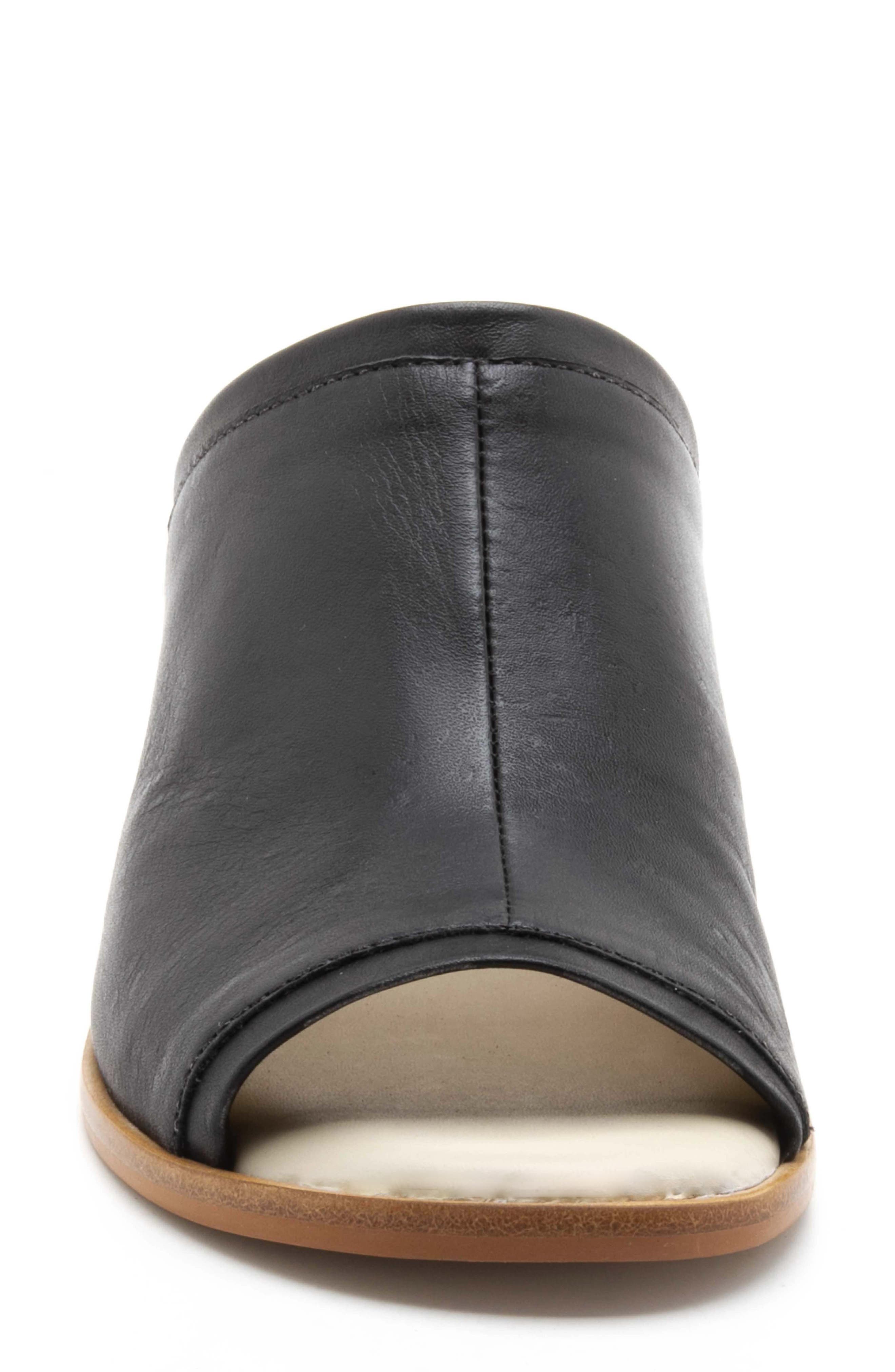 Bird of Flight Asa Slide Sandal, Alternate, color, 