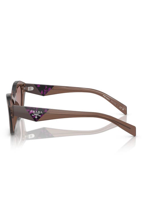 Prada 52mm Butterfly Sunglasses In Light Brown