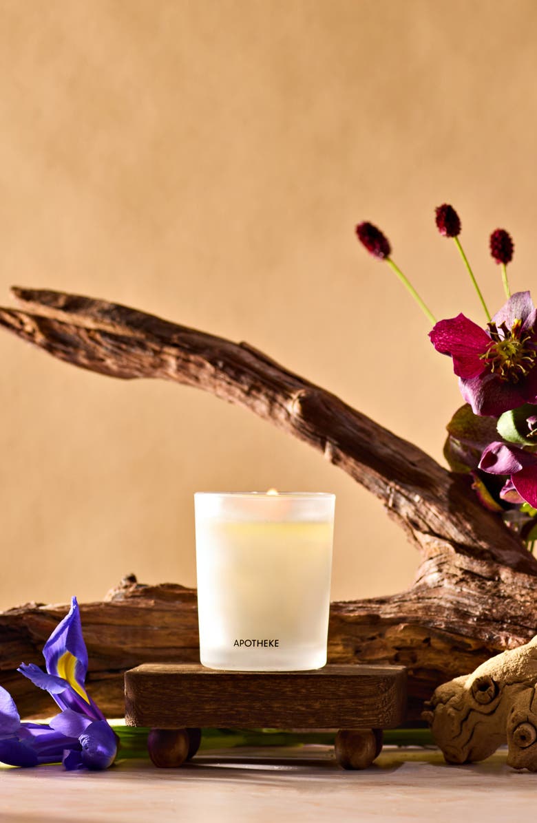 APOTHEKE Black Iris Oak Scented Votive Candle, Alternate, color, 