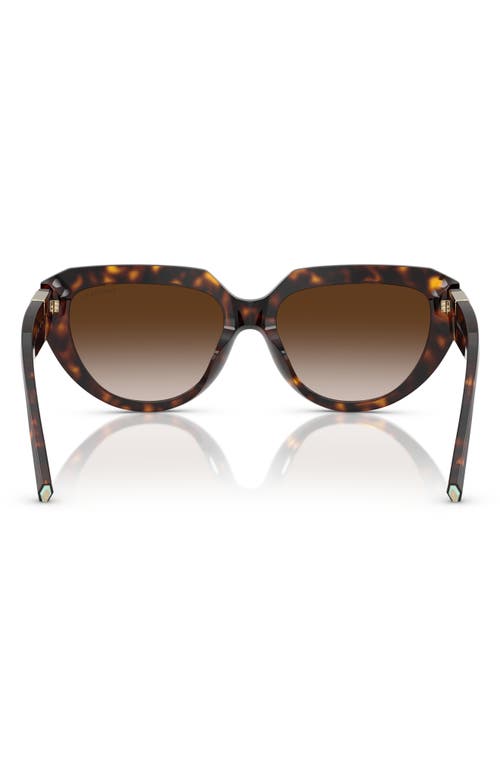 TIFFANY & CO TIFFANY & CO. 55MM GRADIENT PILLOW SUNGLASSES