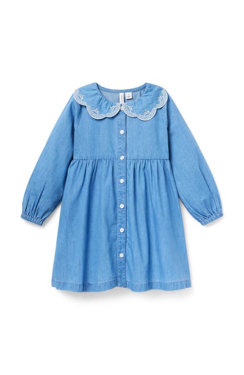 Janie And Jack Chambray Embroidered Collar Dress In Blue