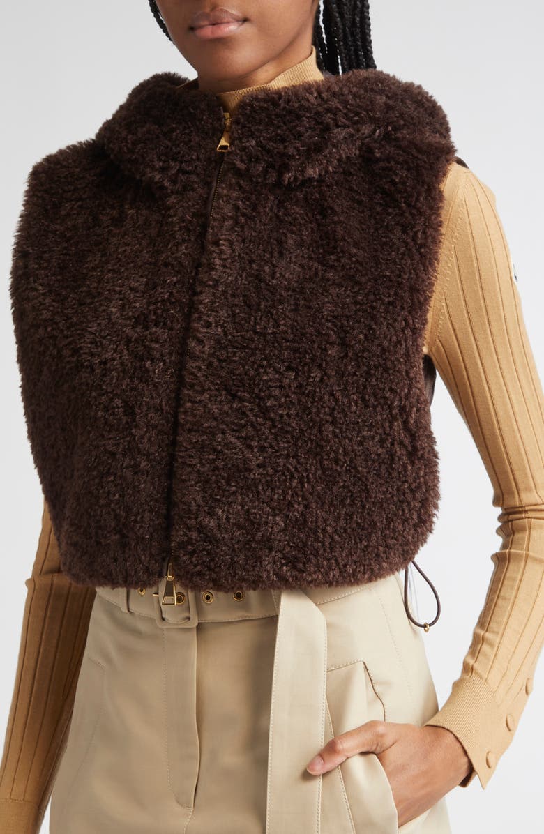 Moncler Teddy Fleece & Quilted Down Vest, Alternate, color, Raisin