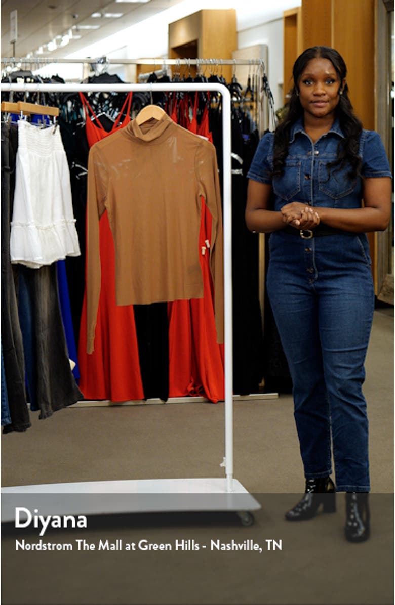 Zadie Semi Sheer Turtleneck, sales video thumbnail