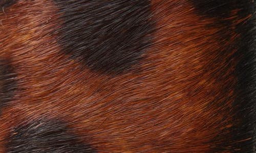 Madewell Inez Leopard Calf Hair Leather Belt In Brown