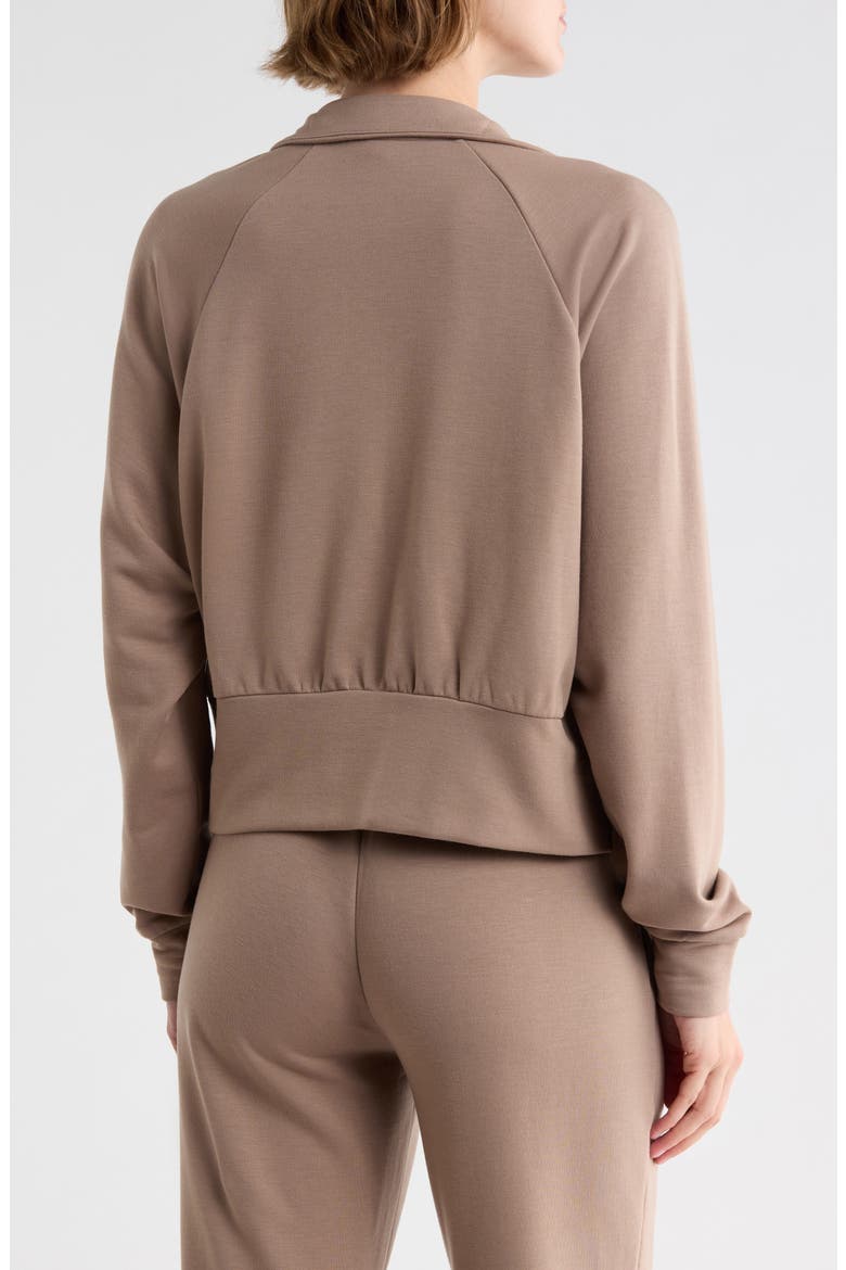 Cozy Whisper Track Jacket, Alternate, color, TAN GREY
