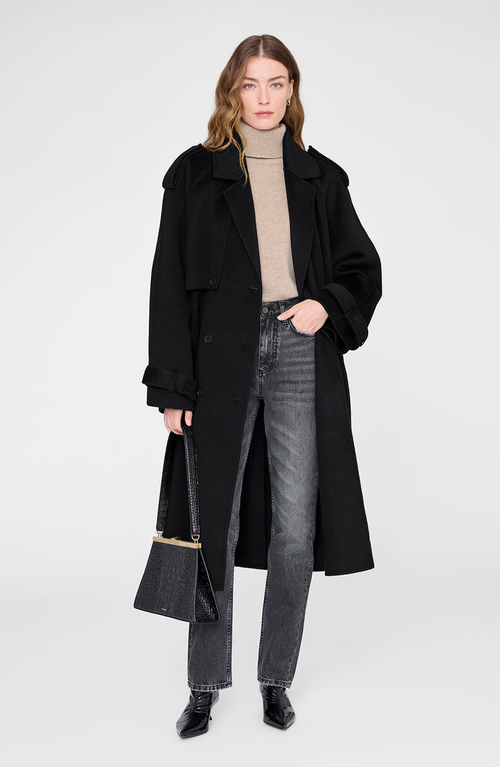 Anine Bing Jackson Turtleneck Sweater In Brown