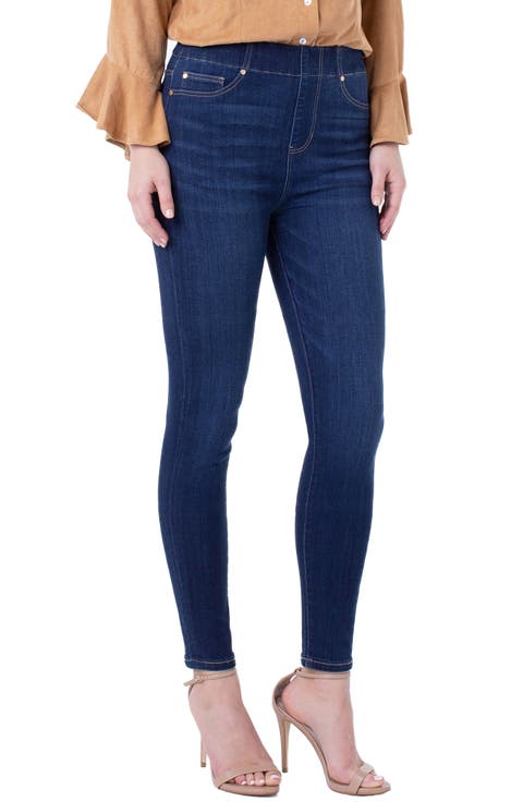 Chloe High Waist Pull-On Ankle Skinny Jeans (Newton)