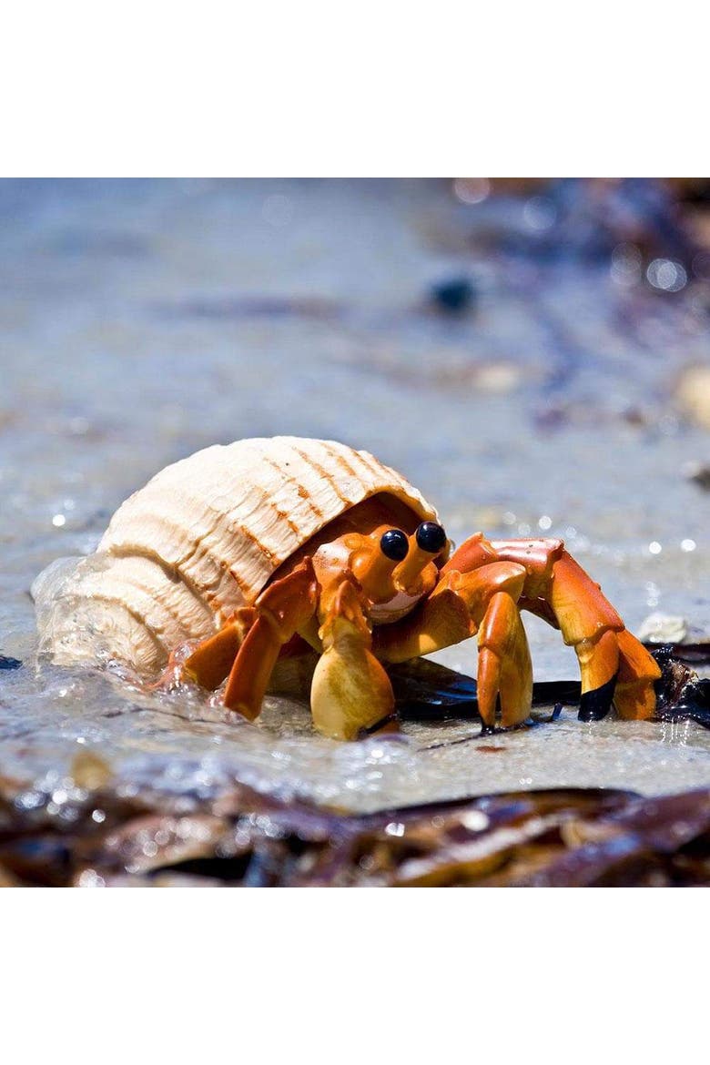 Hermit Crab Toy, Alternate, color, No Color