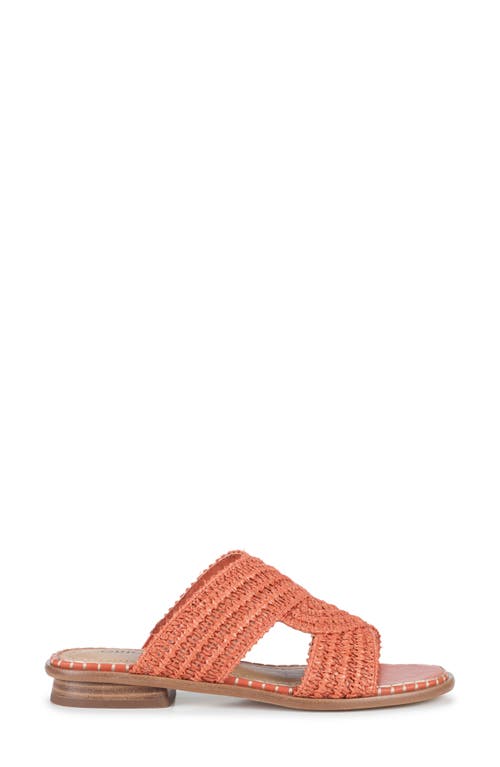 Baretraps Navene Woven Slide Sandal In Orange Aid