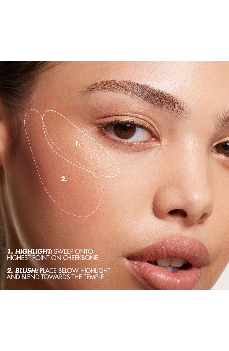 Artist Longwear Skin-fusing Powder Blush