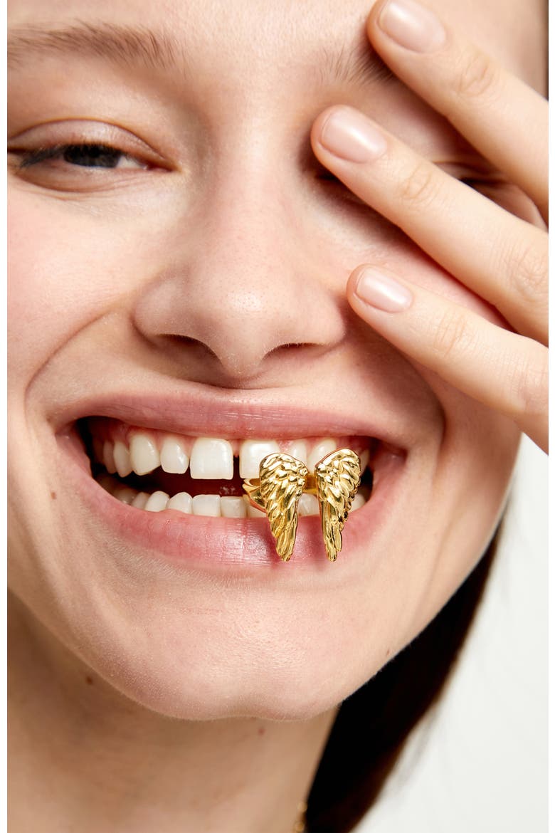 18K Gold-Plated Ring In The Shape Of Wings, Alternate, color, Gold