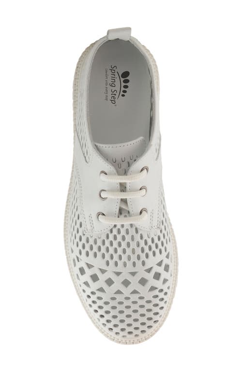 Spring Step Perforated Sneaker In White