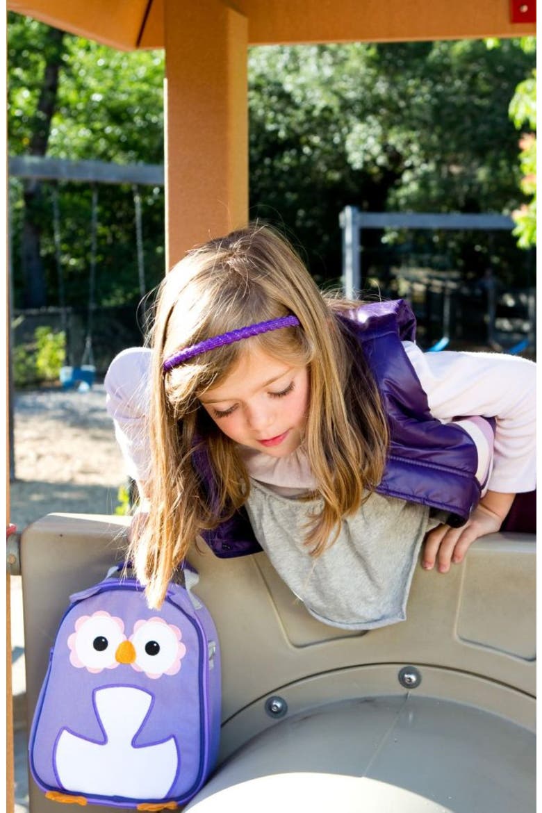Water Resistant Insulated Lunch Pack, Alternate, color, OWL