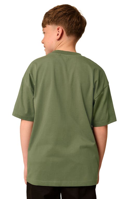 Next Kids' Skater Frog Cotton Graphic T-shirt In Gray