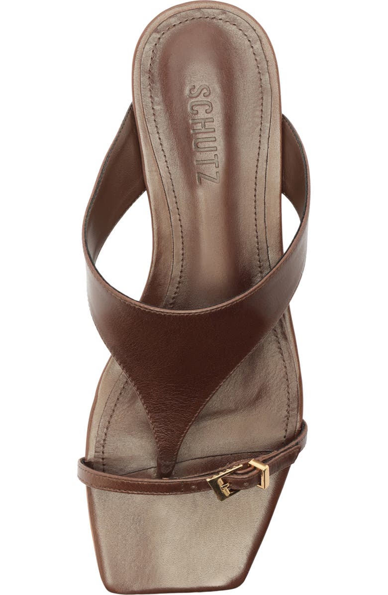 Schutz Tana Flat Flip-Flop, Alternate, color, Root Brown
