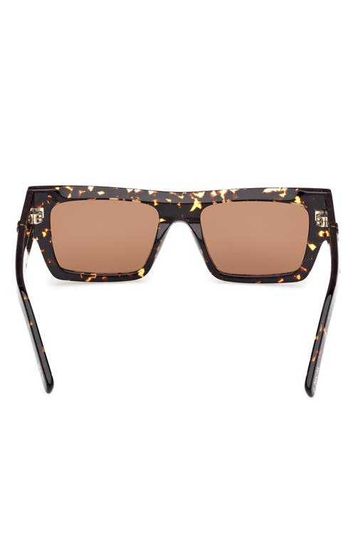 Mcm Brown Browline Unisex Sunglasses Mw0014 52e 53 In Brown