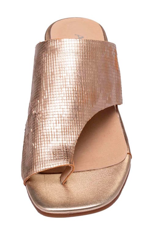 Antelope Afton Toe Loop Leather Dress Sandal In Gold