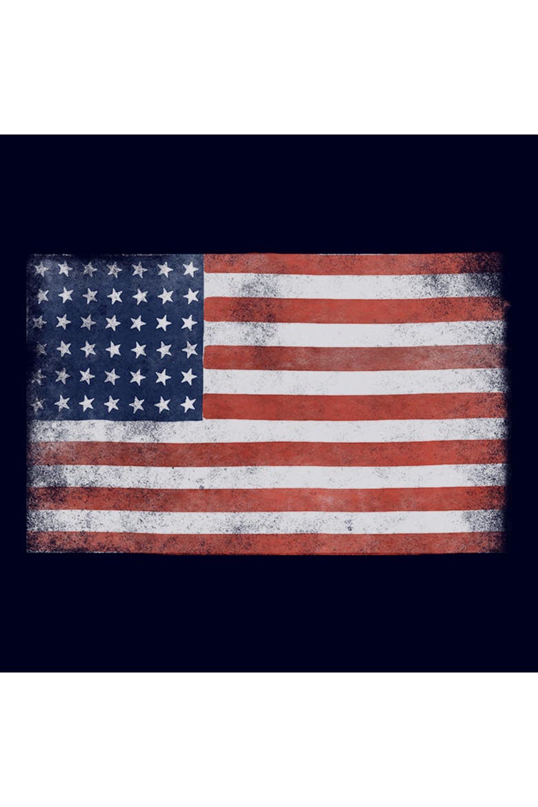 Juniors Lost Gods American Flag and Proud T Shirt, Alternate, color, Navy Blue