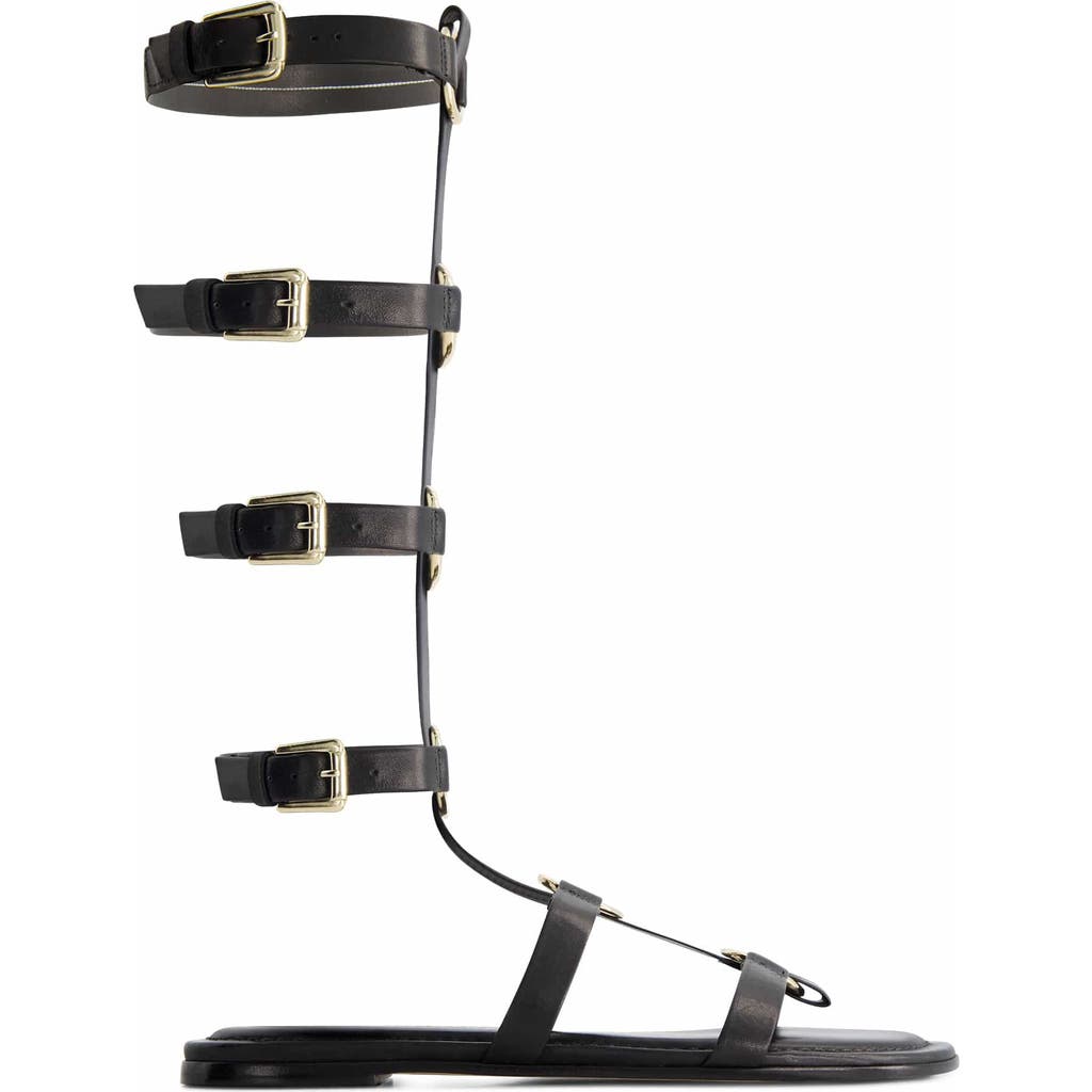 Shop Bernardo Footwear Hero Gladiator Sandal In Black