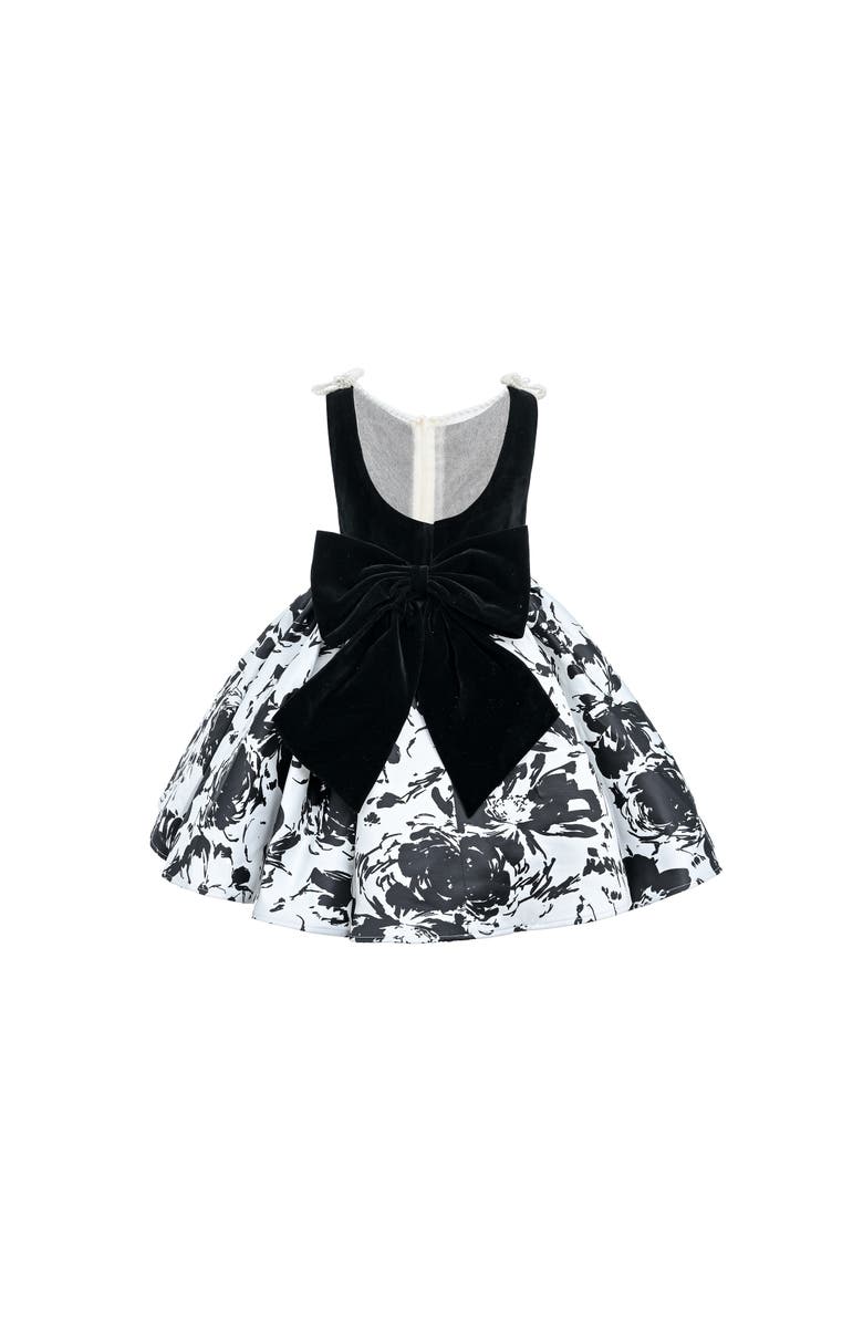 Tulleen Maitland Dress, Alternate, color, Black