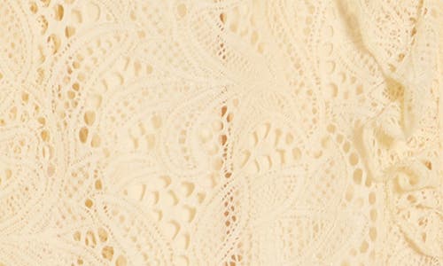 Nicole Miller Ruffle Long Sleeve Lace Button-up Top In Neutral