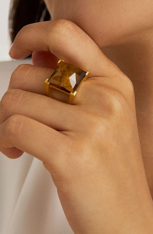 Dean Davidson Plaza Tiger's Eye Ring In Gold