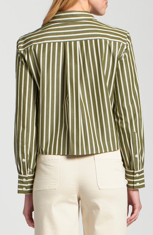 Apny Stripe Cotton Blend Crop Button-up Shirt In Green