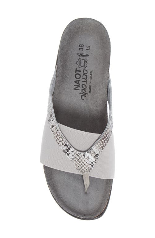 Naot Penelope Flip Flop In Grey Cobra Print Leather