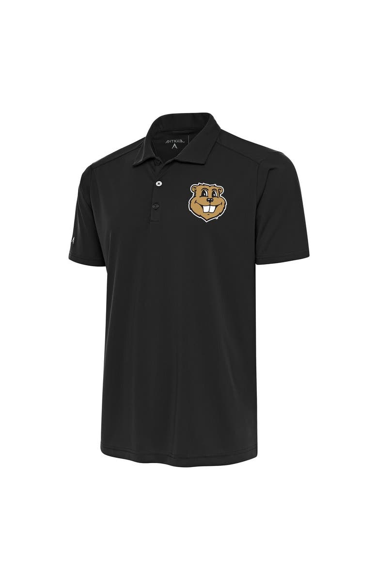 ANTIGUA Men's Antigua Gray Minnesota Golden Gophers Goldy Tribute Polo, Main, color, 