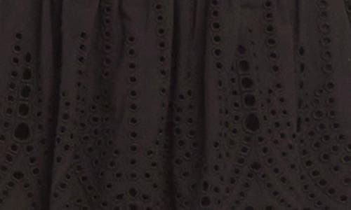 Fifteen Twenty Isla Eyelet Embroidered Minidress In Black