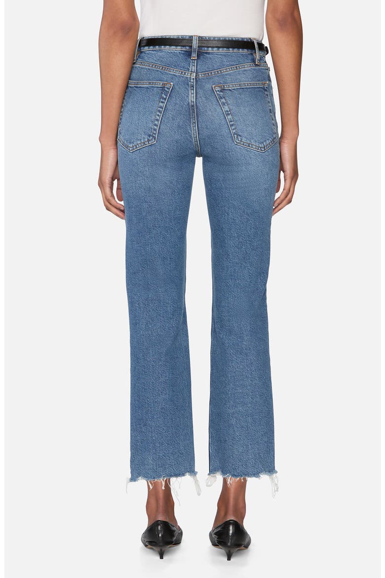 The Ruler Frayed High Waist Ankle Straight Leg Jeans, Alternate, color, STASH DESTRUCTED FRAY