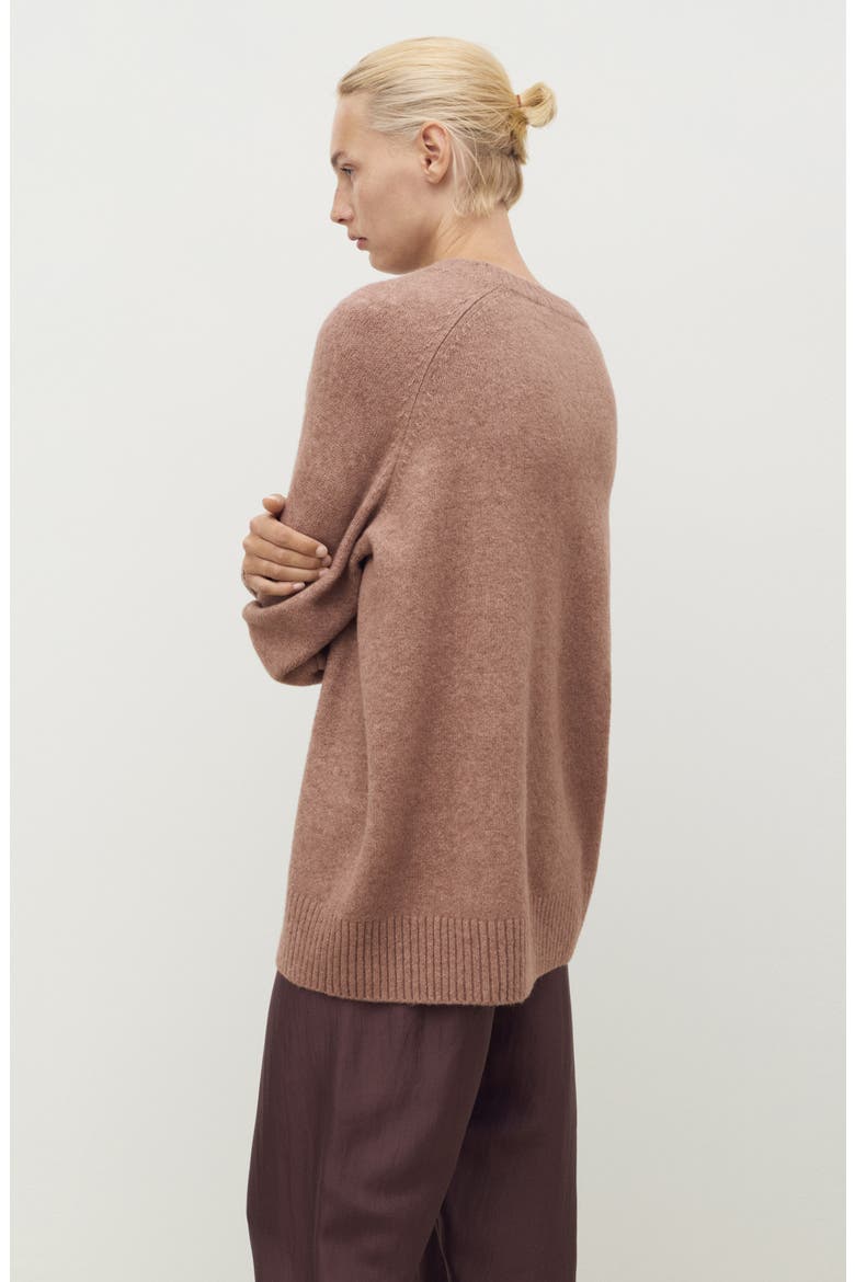 Crewneck Raglan Sleeve Sweater, Alternate, color, MEDIUM BROWN