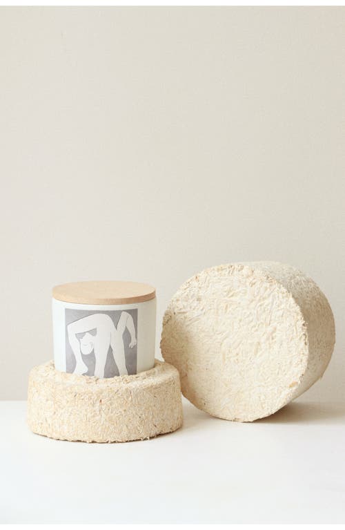 Amen Picasso Jazmin Candle In Multi