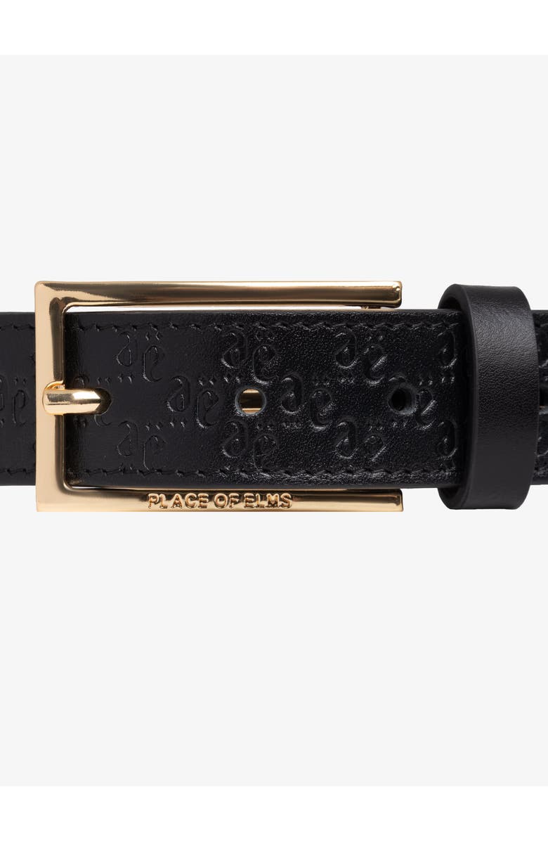 PLACE OF ELMS GENTLEMEN LEATHER BELT, Alternate, color, 