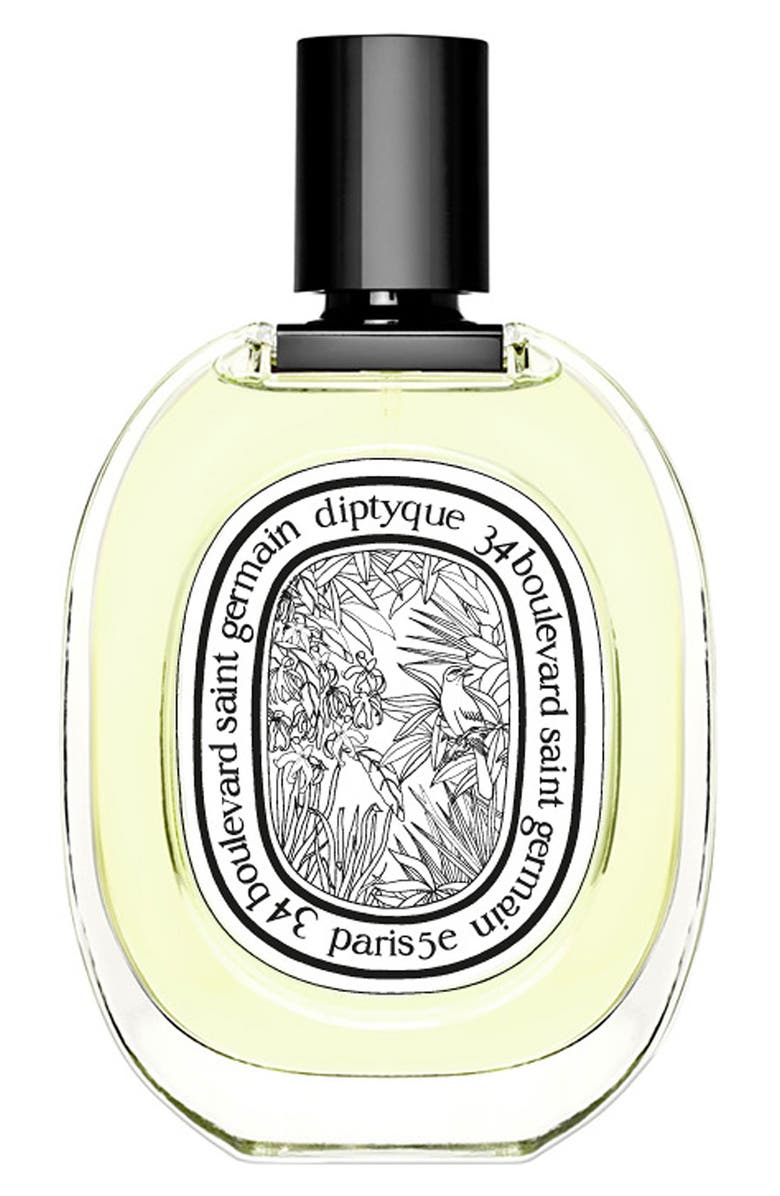 Diptyque Vetyverio (Vetiver) Eau de Toilette, Main, color, 