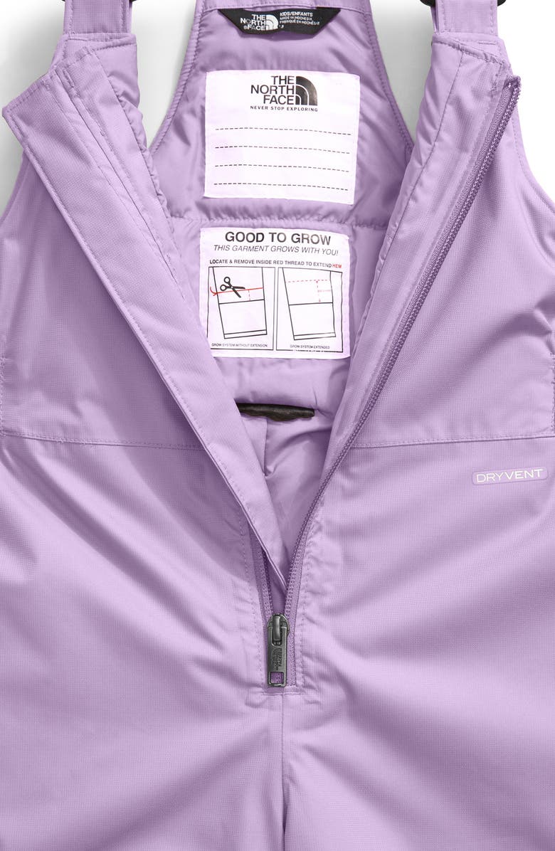 The North Face Kids' Freedom Insulated Waterproof Snow Bibs, Alternate, color, 