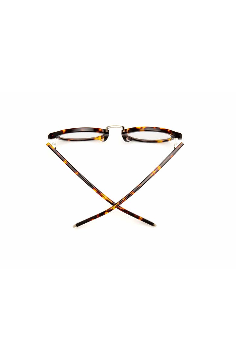 Caddis Gramophone | Reading Glasses, Alternate, color, Turtle