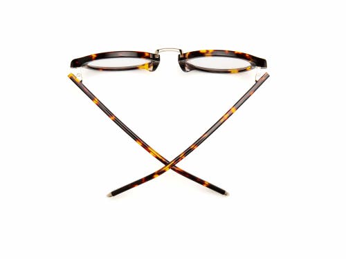 Caddis Gramophone | Reading Glasses In Brown