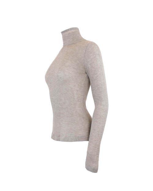 Theo The Label Nomia Sheer Knit Turtleneck In Gray