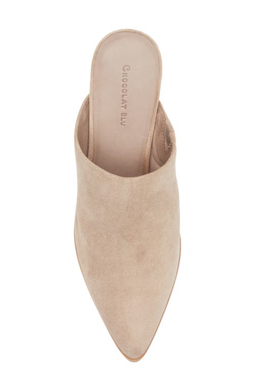 Chocolat Blu Emery Pointed Toe Mule In Brown
