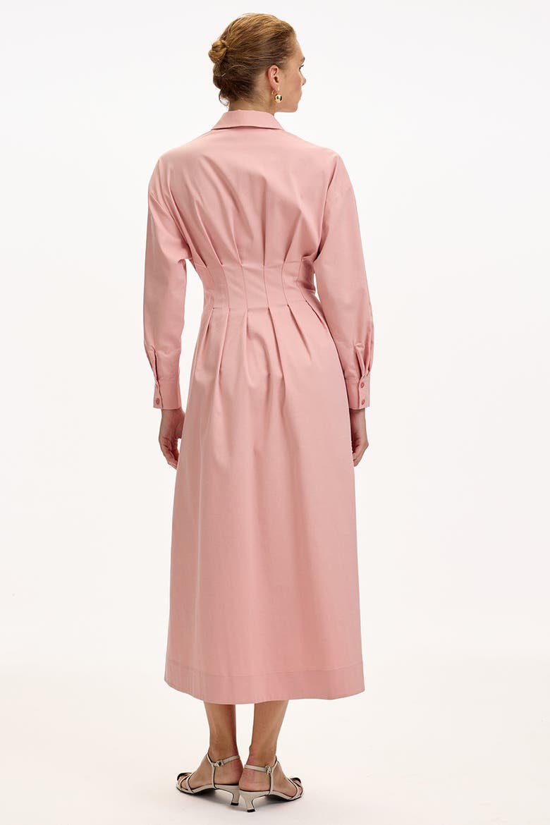 Belted Fitted Waist Midi Shirt Dress, Alternate, color, DRIED ROSE
